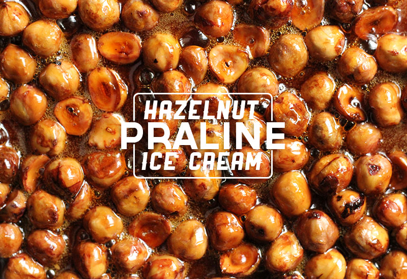 hazelnut-praline-ice-cream-4.jpg
