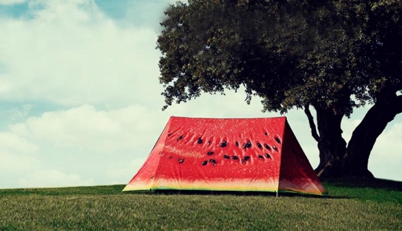 field-candy-tents.jpg