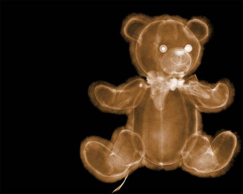 x-ray-photography-nick-veasey-chicquero-teddy-bear.jpg