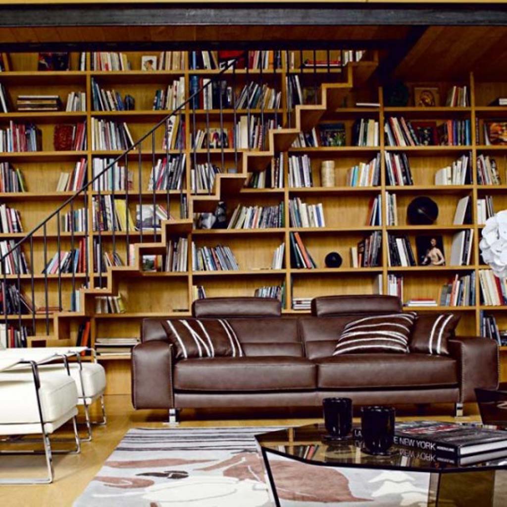 bookshelf-couch-library-furniture.jpg