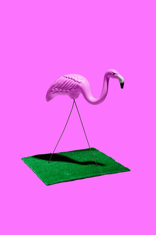 trendland-crayola-theory-flamingo.jpg